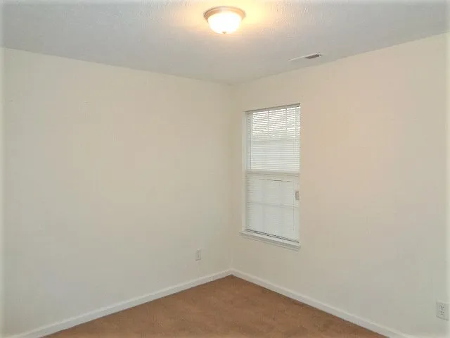 302 Holland Ridge Dr — Photo 13