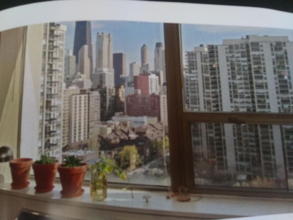 1st image of 1460 N Sandburg Ter APT 1909