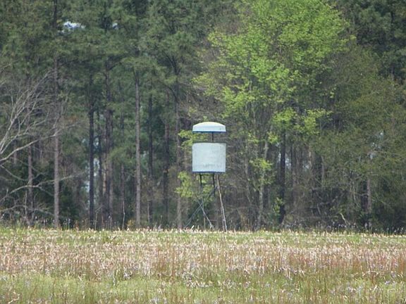 4th image of 259 County Road 64