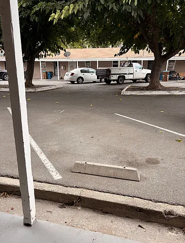 83 Solano Ave #10 Photo 1