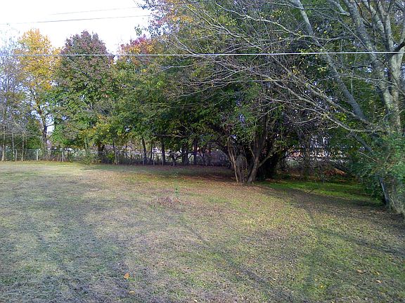 Backyard Trees Add Beauty, Serenity & Privacy to Your Home