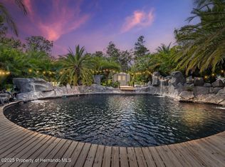 9027 Mavis Rd, Weeki Wachee, FL 34613