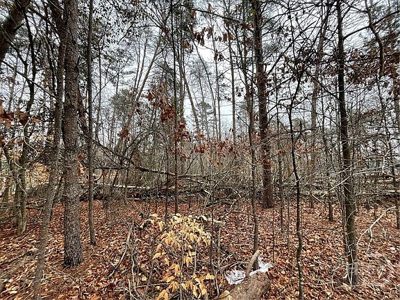 3rd image of Lot 840-841 Player Lane