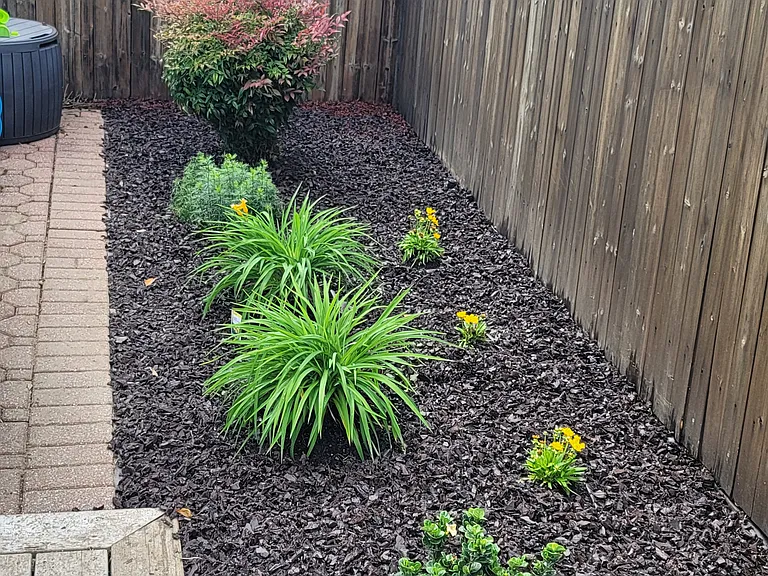 Yard and garden