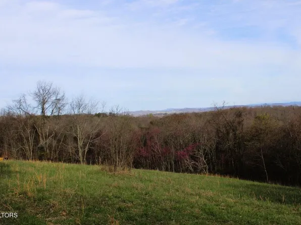 1803 Promiseland Rd, Blaine, TN 37709