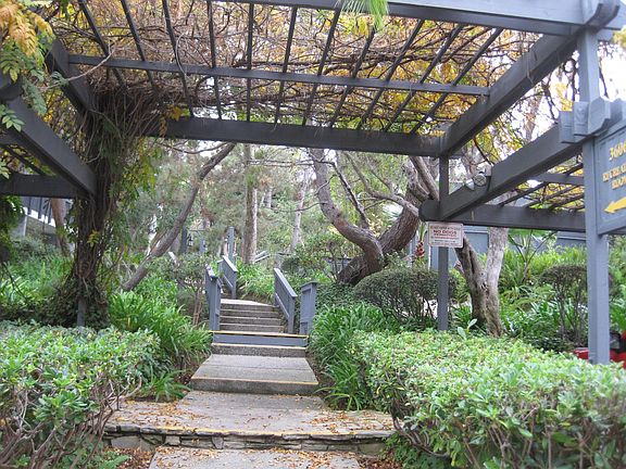 walkways feature hundreds of trees and waterfalls.