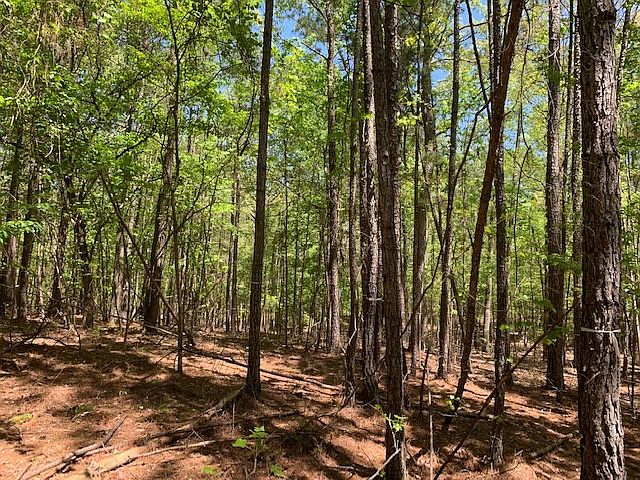 1st image of 1081 Shadow Creek Way
