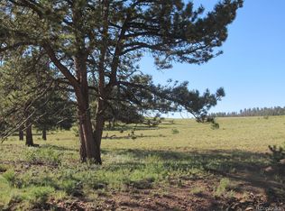 Arikara Trl LOT 5110, Hartsel, CO 80449