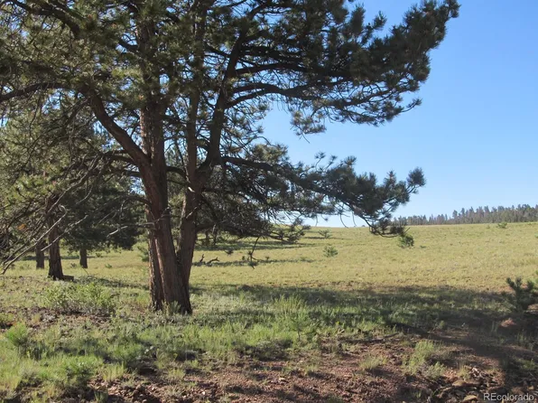 Arikara Trail LOT 5110, Hartsel, CO 80449
