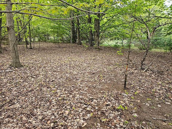 3rd image of Sadie Ln Parcel D