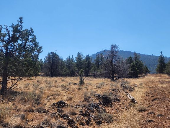 4th image of 15813 Knollcrest Rd