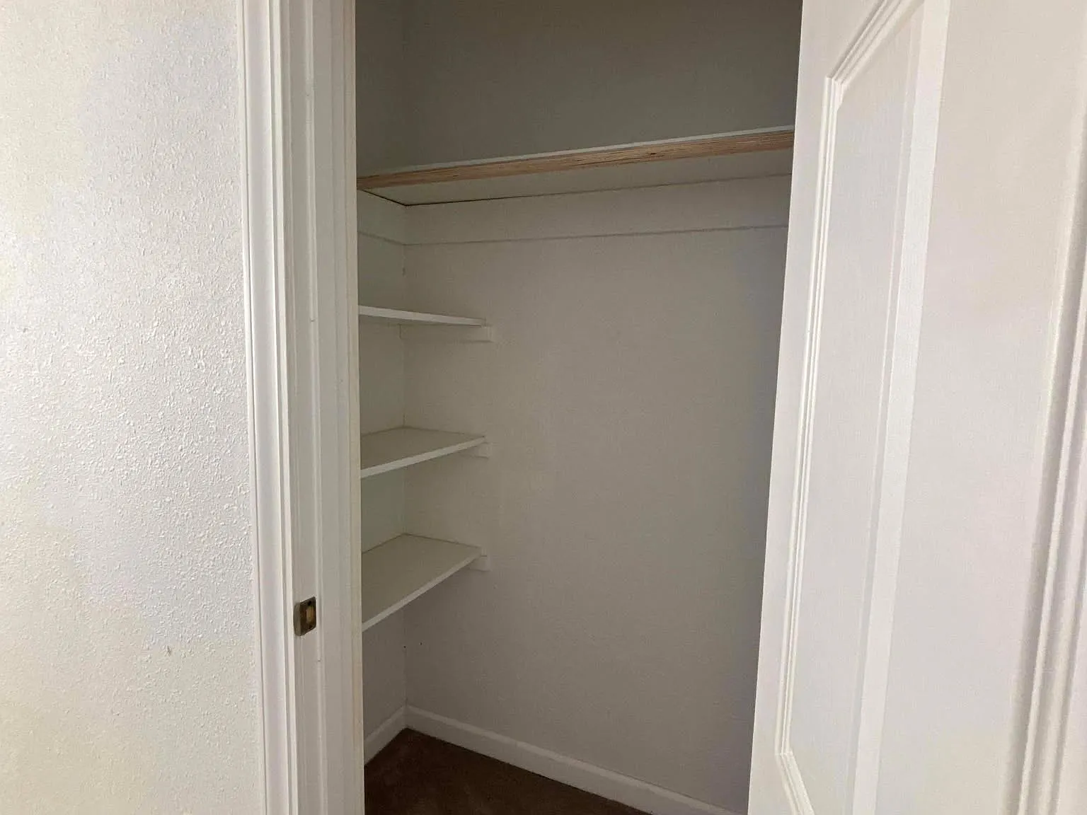1 bed, 988 sqft, $1,200 — Photo 3