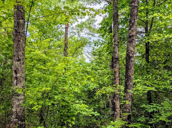 LOT 62 Highland Ridge Trl Lot Wp062, Murphy, NC 28906
