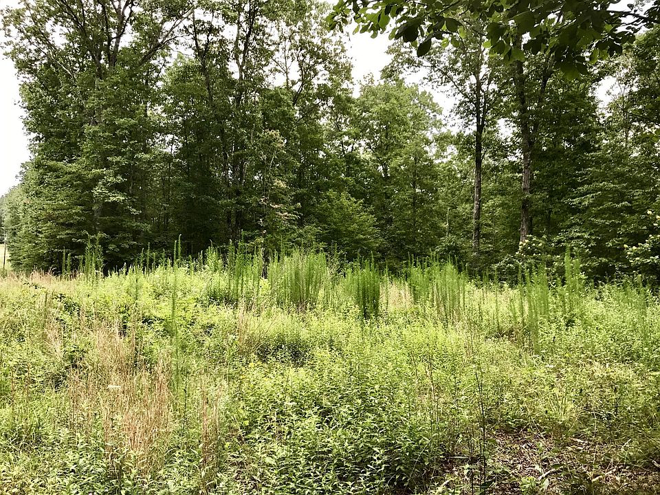 2nd image of Maple Branch Rd