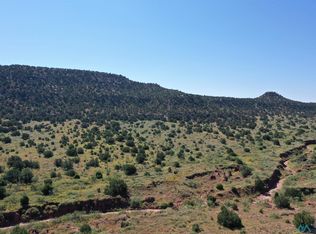 295 County Road C56 B, Trementina, NM 88439