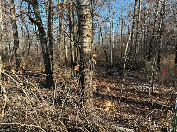 248th Pl, McGregor, MN 55760