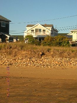 5th image of 16 Harbor St #B