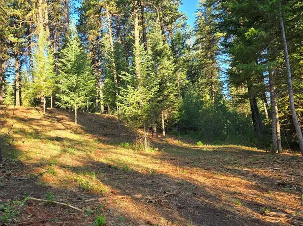 Tbd Sorrel Dr, New Meadows, ID 83654