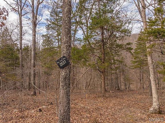 2nd image of 2537 Alpine Woods Dr