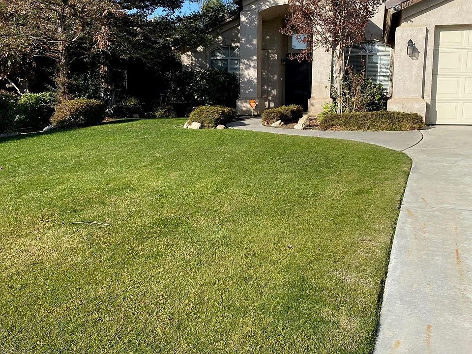 Large Front Yard