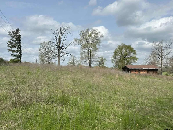 Fm 2694, Shelbyville, TX 75973