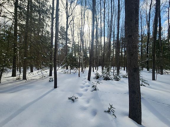 2nd image of 335 Ridgewood Dr