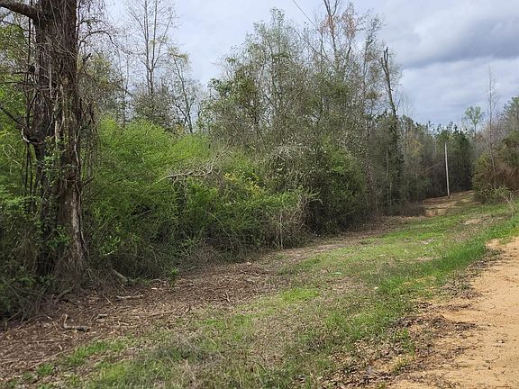 2nd image of 0 County Road 495 #1
