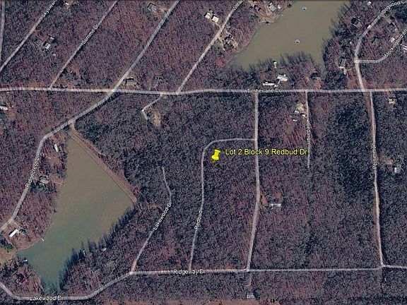 4th image of L2-B9 Redbud