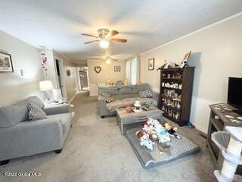 3rd image of 105 Ford Avenue