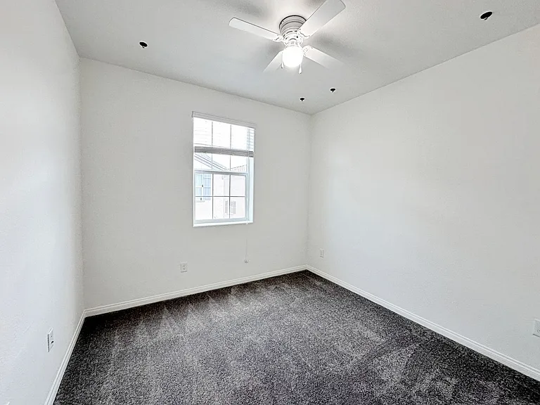 663 Foam Flower Ln — Photo 16