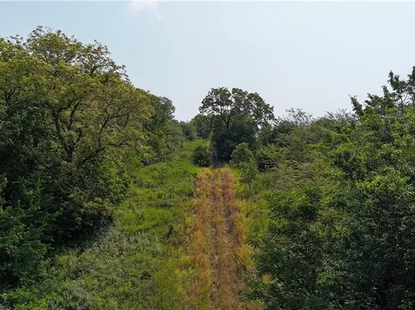 SE Black Oak Rd, Braymer, MO 64624