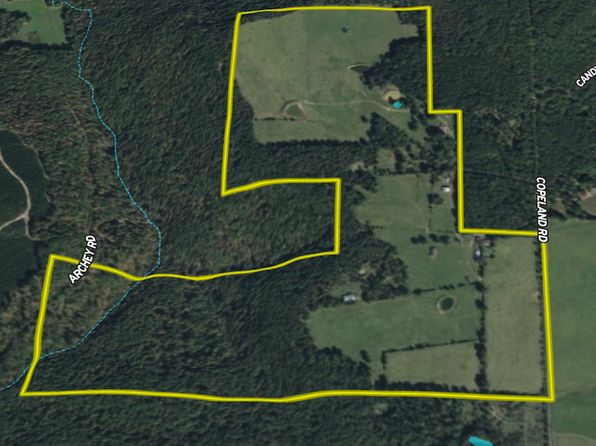 313 Cone Ln Lot Wp001