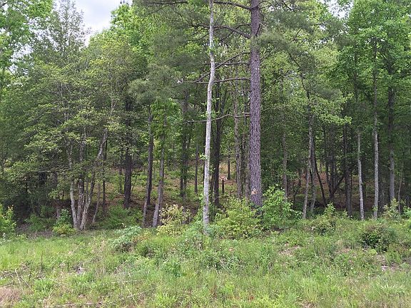 3rd image of 134 Northwoods Cir