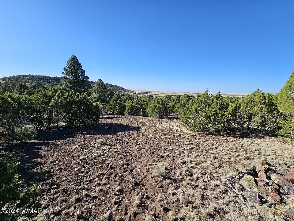 2nd image of Snowline Dr