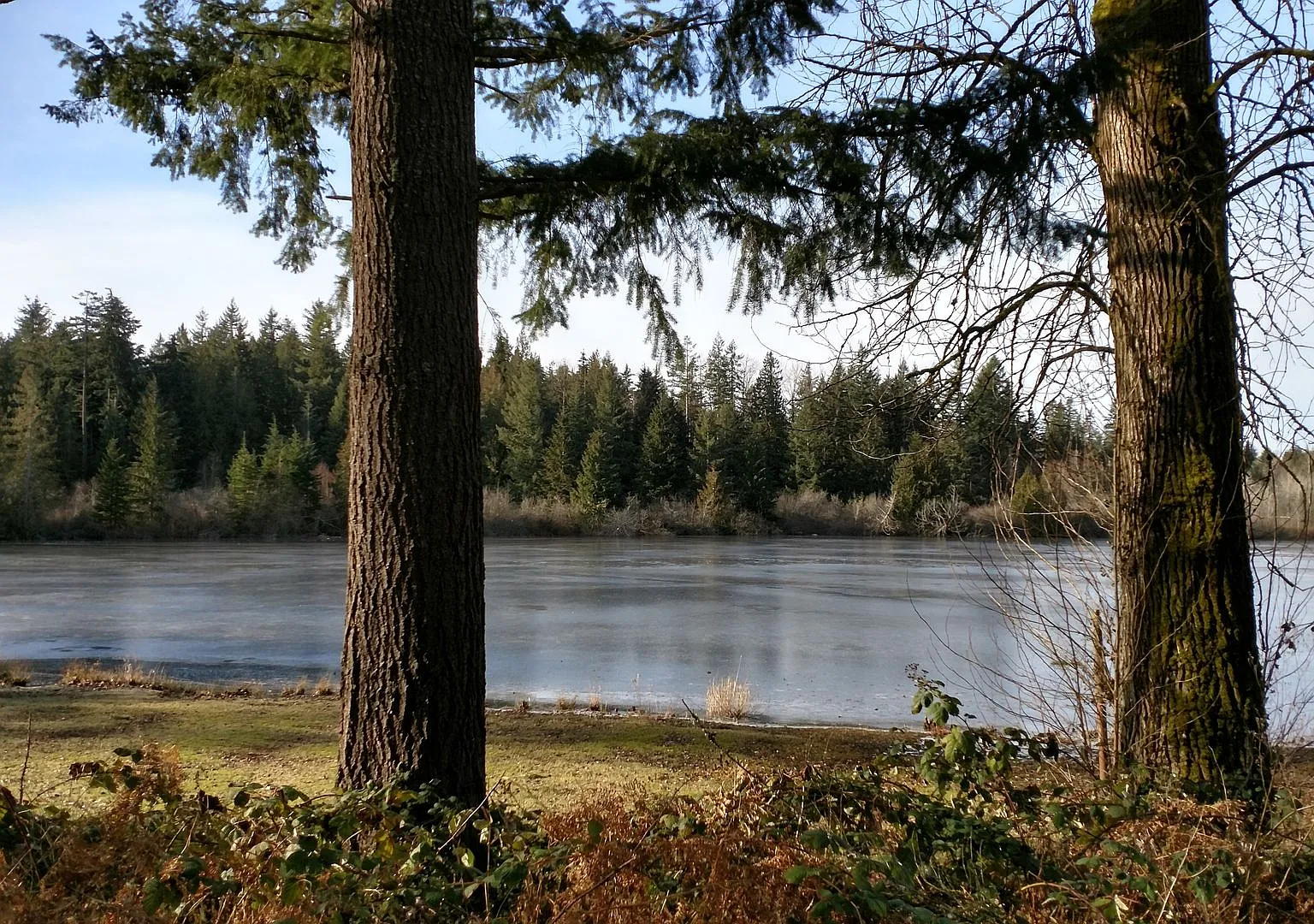 Shadow Woods — Photo 1