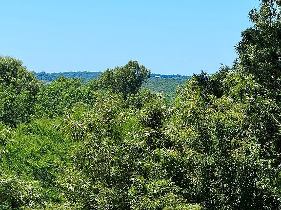 3rd image of 261 High Point Ct
