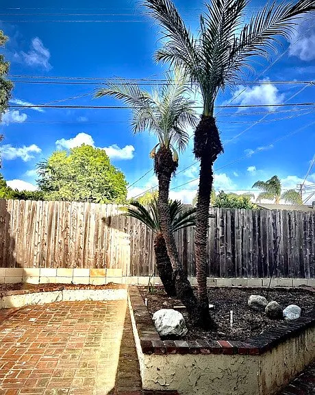 978 Modjeska Cir — Photo 8