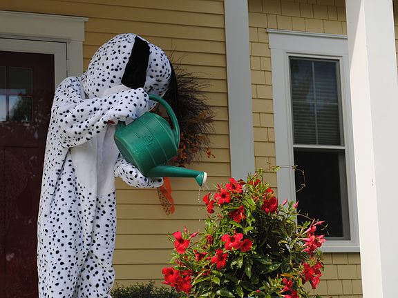 3rd image of 5 Follinsbee Ln