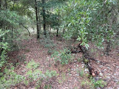 37 Girard Ct, Alford, FL, 32420