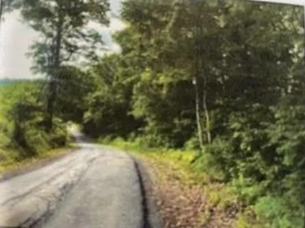 0 Bracken Creek Rd #41/3, Nallen, WV 26680