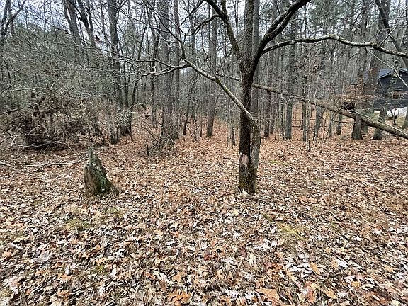 4th image of LOT Monticello Dr