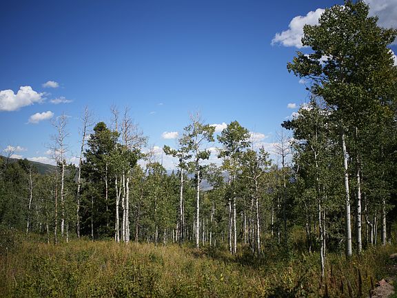 2nd image of 2481 Forest Meadow Rd