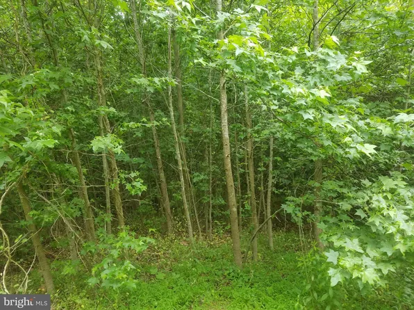 4875 Dayton Pl, Indian Head, MD 20640