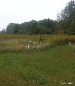 Vising Dr Lot 9, Lowell, MI, 49331