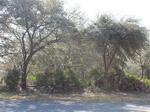 4th image of 1003 Orchid Dr