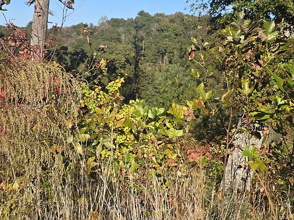 5th image of 86 River Overlook Ln