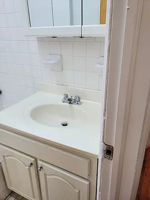 Rented by Manhattan Flats | media 40