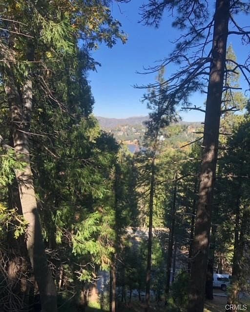 2nd image of 0 S Outer Lake Gregory Dr #2