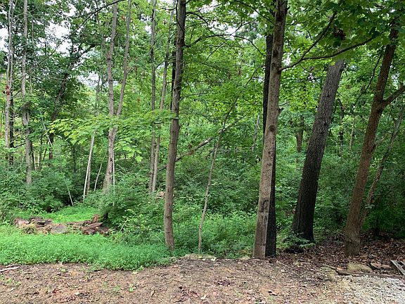 5th image of 326 Ivy Hill Dr Lot 1255