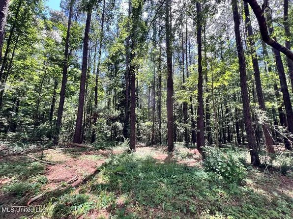 4 Lewis Ln SE Lot 4, Meadville, MS 39653